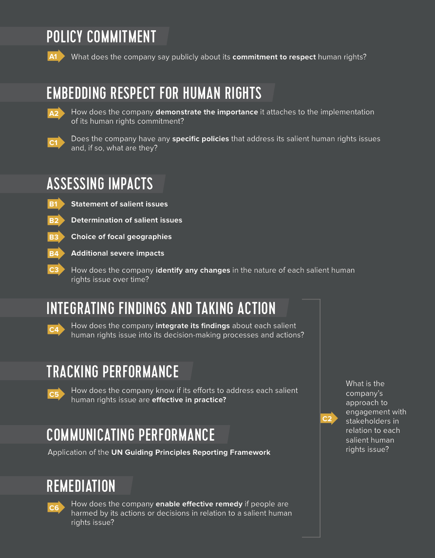 UNGP Reporting Framework relationship to UNGPs elements